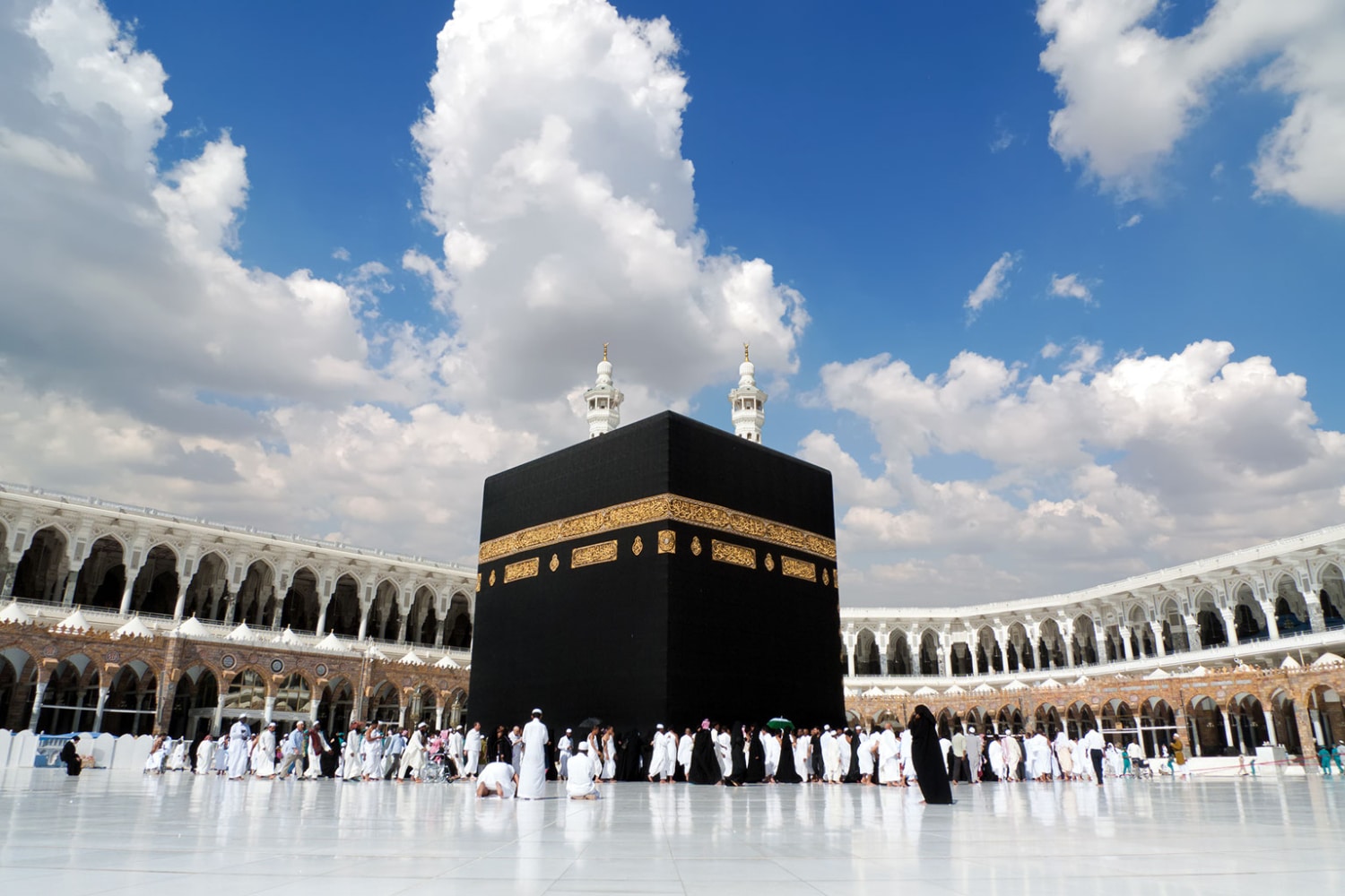 HQC Halal Certification - Saudi Arabia HQC Halal Certification - Saudi Arabia