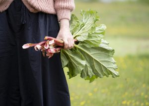 Lokale råvarer