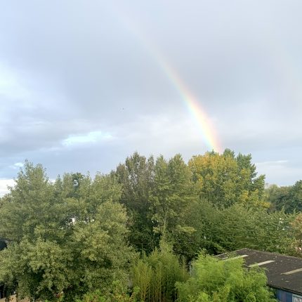 Regenbogen am Himmel über Bäumen