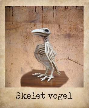 Skelet vogel