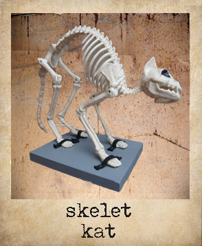 skeletkat