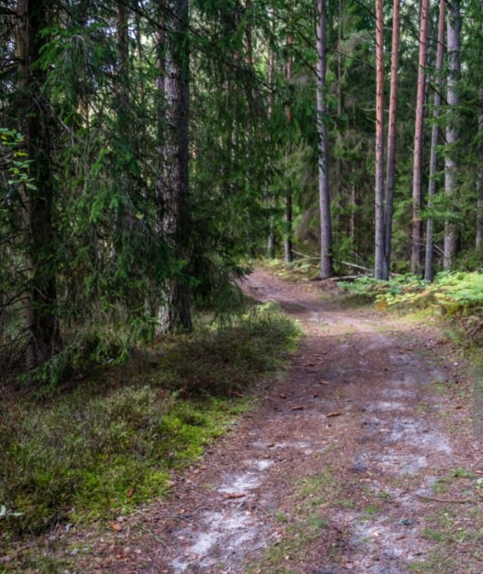 Goda resultat inom {{mpg_tjanst}} för dig i {{mpg_omrade}}