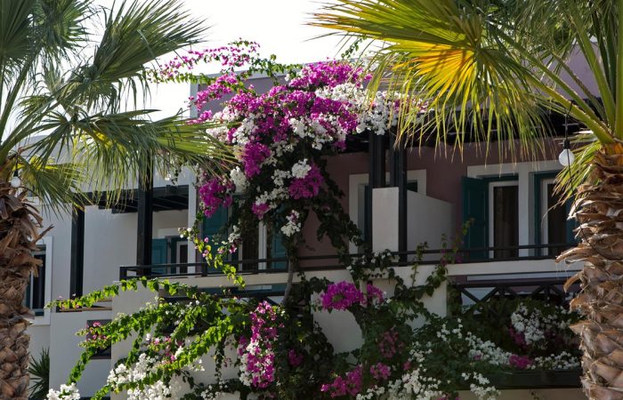 Hotel Rosebay Santorini Hotel