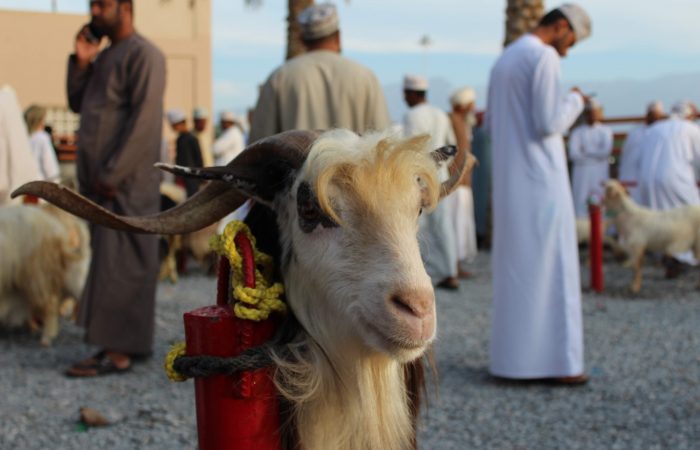 Nizwa - Oman