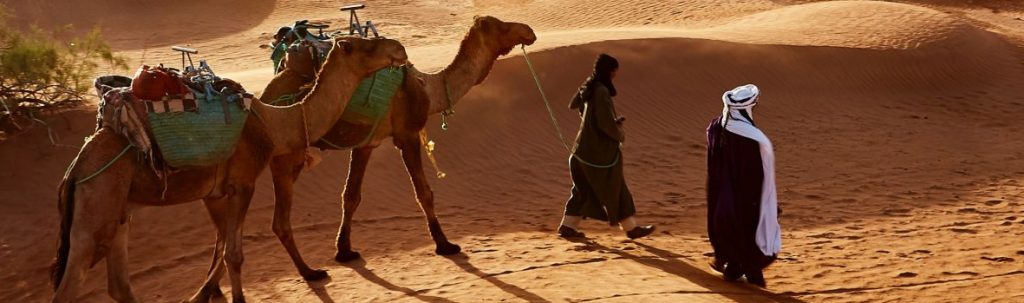 Wahiba Sands, Oman