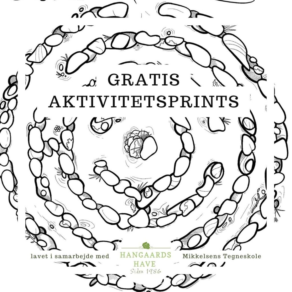 Gratis Aktivitetsprints