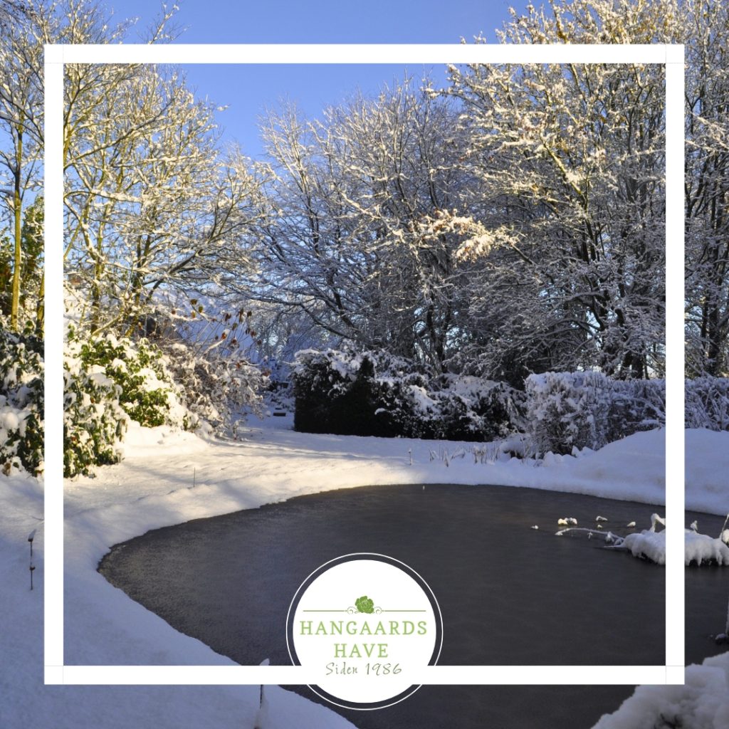 Snesækket have - Hangaards Have 2024