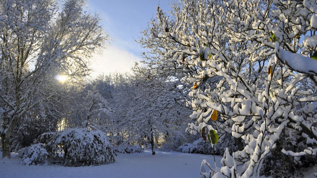 Fotos: Snesækket Have