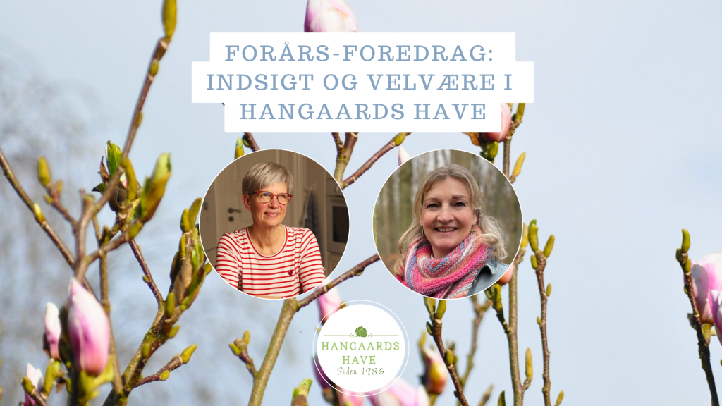 Foredrag: Velvære og indsigt i Hangaards Have Foredrag: Velvære og indsigt i Hangaards Have