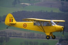 SQN01.jpg