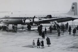 DR02.jpg