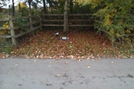 2060 1 800 20151026 Noizet Hugh Richardson 1.jpg|2060 2 800 20151026 Noizet Hugh Richardson 2.jpg|2060 3 800 20151026 Noizet Hugh Richardson 3.jpg|2060 4 800 20151026 Noizet Hugh Richardson 4.jpg