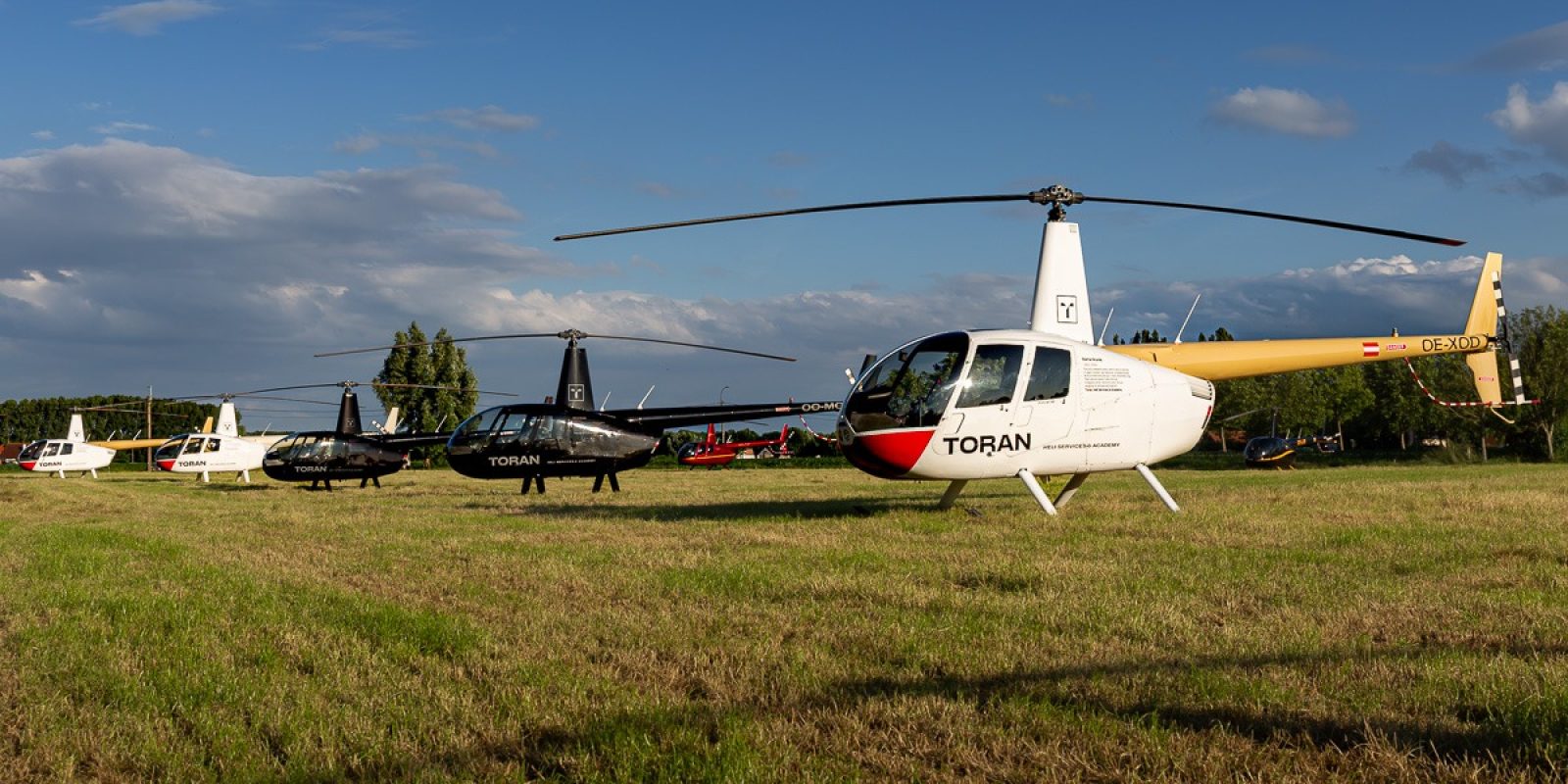 Een rij Robinson-helikopters van Toran op het grasveld in Bellem. De tijdelijke helihaven was voor één avond het decor van een uitzonderlijke concentratie civiele helikopters.