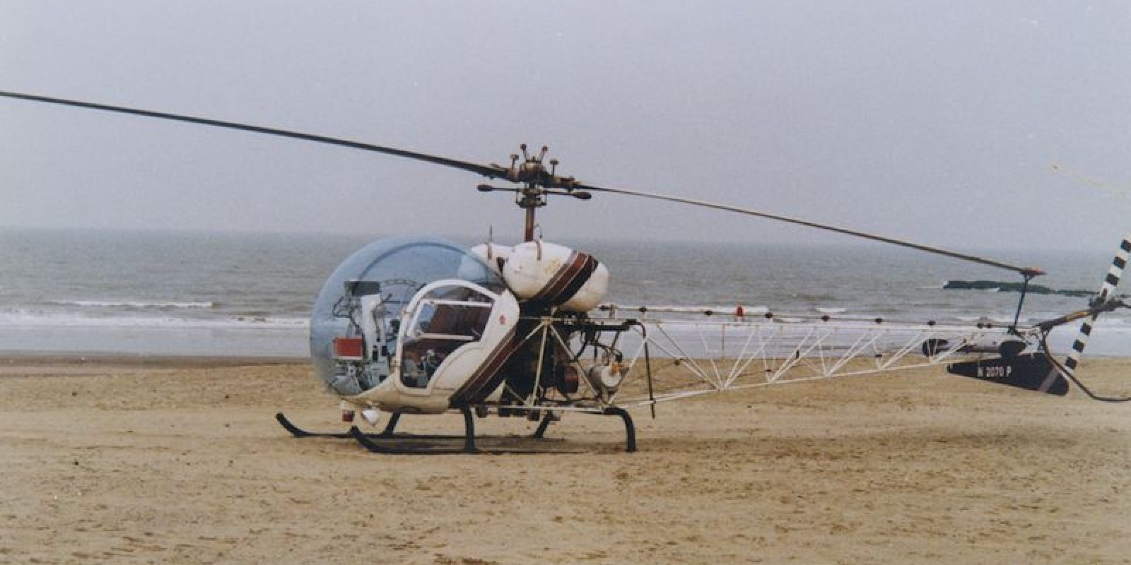 _D3D0942.jpg