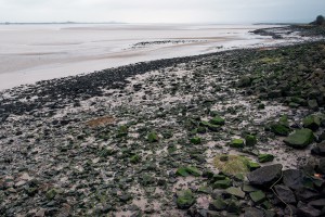 Severn Estuary