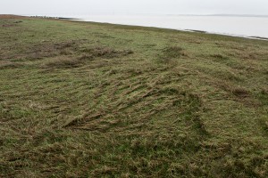 Severn Estuary