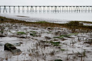 Severn Estuary