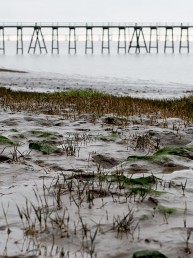 Severn Estuary