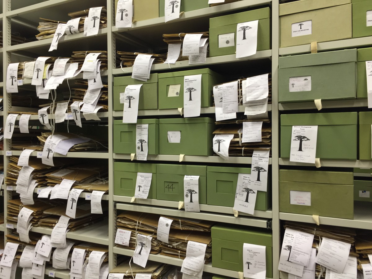 Kew Gardens - Herbarium