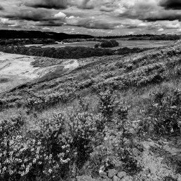 Redhill Landfill Site