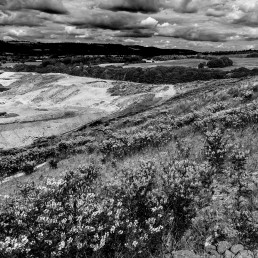 Redhill Landfill Site