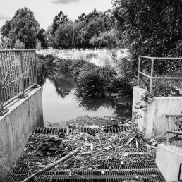 Moselle River, Tottenham