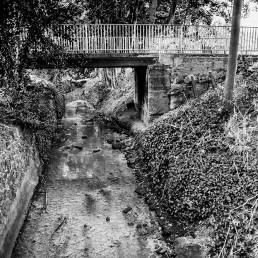 Moselle River, Tottenham