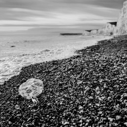 Birling Gap