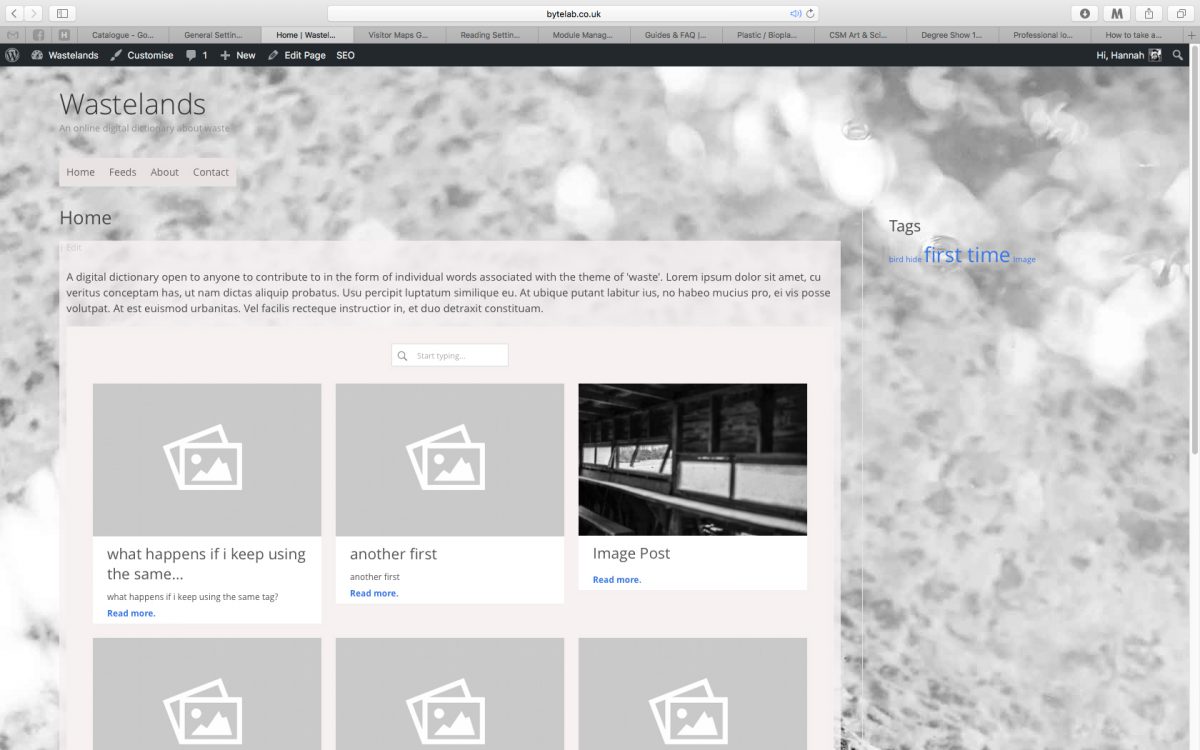 Screenshot of website home page