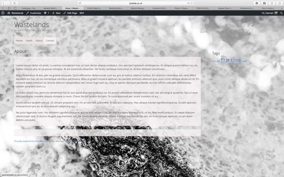 Screenshot of website about page