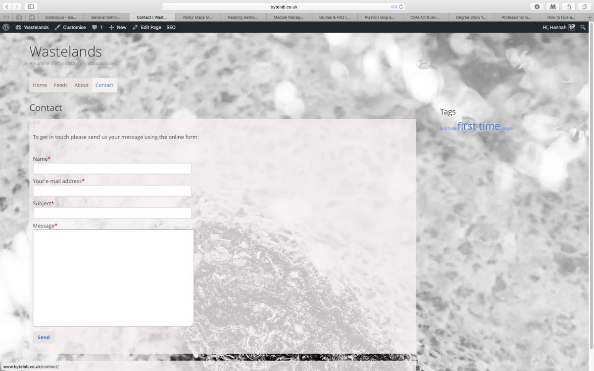 Screenshot of website contact page