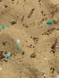 Microplastics