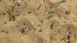 Microplastics