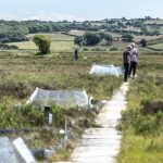 Cors Fochno peat bog