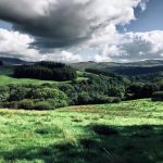 Galloway Forest