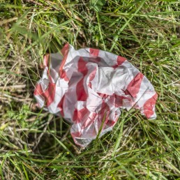 Roadside Litter