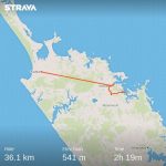 Kaitaia to Paihia (bus, bike)