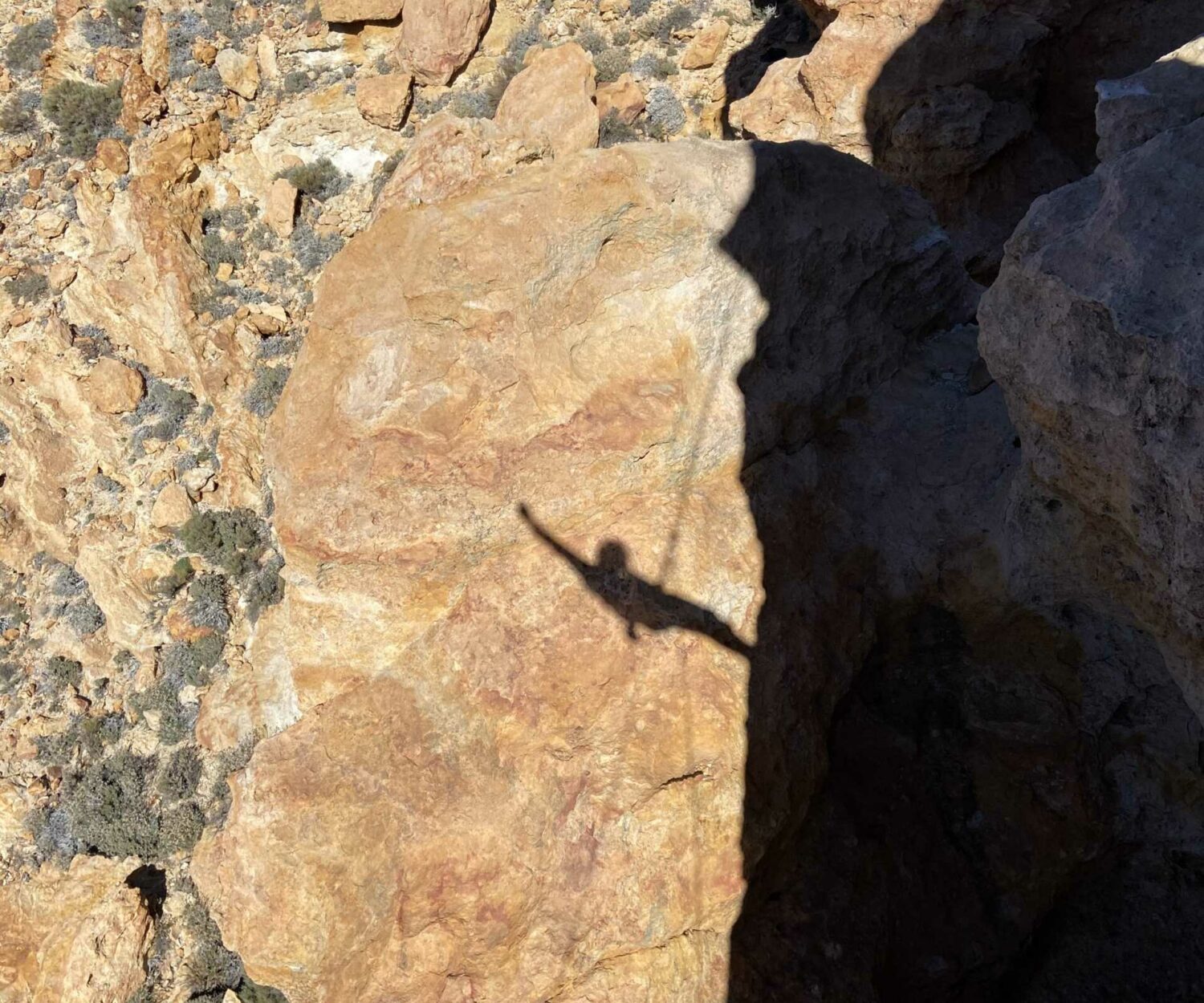 Schattenspiel auf Teneriffa