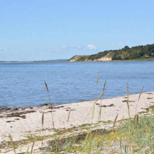 Farsø Fjord stranden