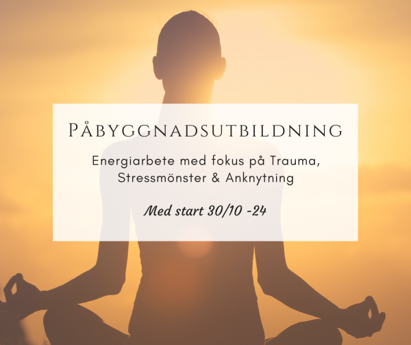 Påbyggnadsutbildning med start 30/1-25: Energiarbete med fokus på Trauma, Stressmönster & Anknytning