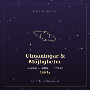 Utmaningar & Möjligheter