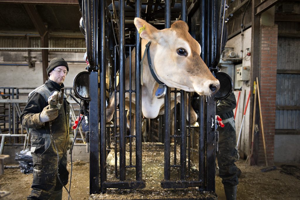 Erhversfotograf i Nordjylland
Foto: Hans Ravn