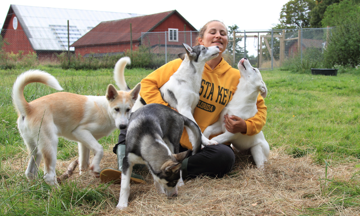 Dog hotel Happy Paws