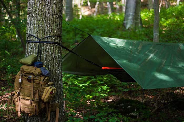 hanging backpack next to hammock camping