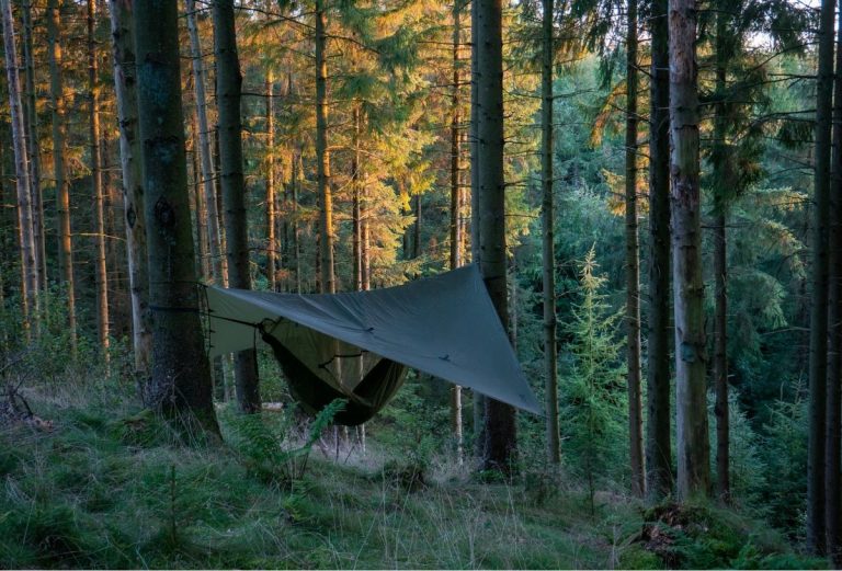 Hammock camping tarps guide for beginners