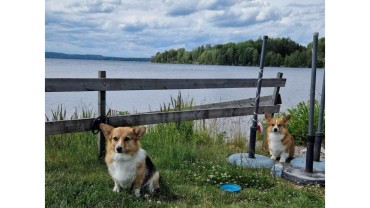 Salta sommarbad på västkusten ☀️⛱️