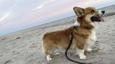 🎉 Stort grattis på 5-års-dagen till Ö-kullen 🎉
