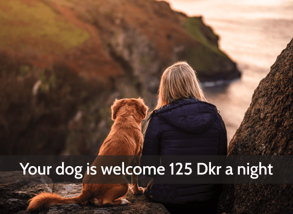 Din Hund er velkommen på Harbour Sleep i Nexø