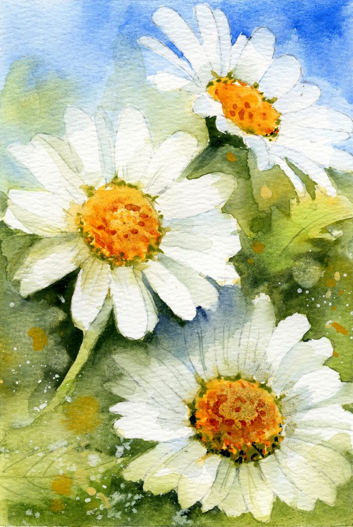 KerrySlack_Daisies