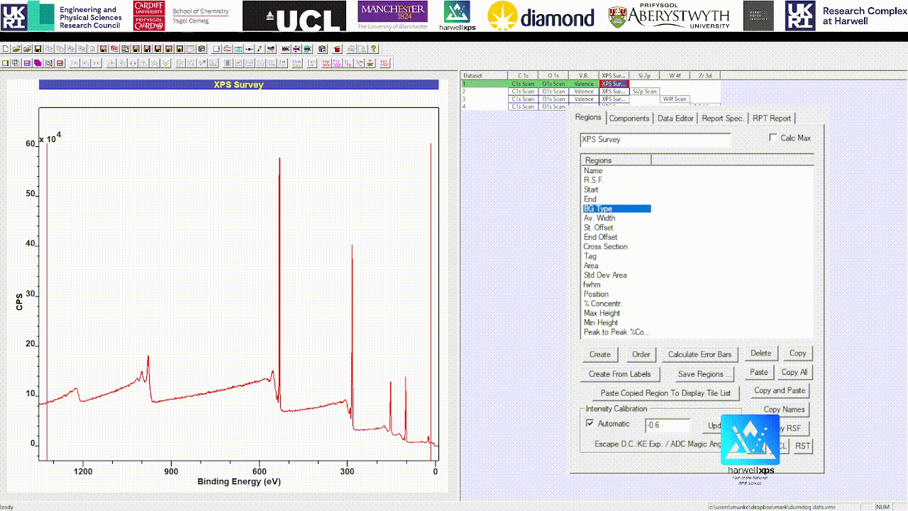 Copy Region Quantification